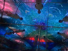 -天津梵高星空艺术馆(天河城旗舰店)