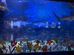 -烟台海昌鲸鲨海洋公园