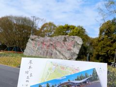 -东平国家森林公园