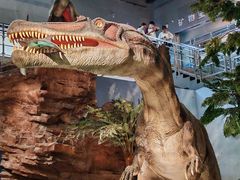 -湖南省地质博物馆