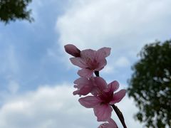 -沙家浜风景区