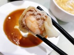 -陶然饺子城(奥体中路店)