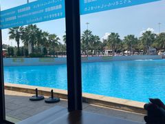 -鼎龙湾德萨斯水世界