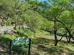 -大岭沟猕猴桃谷风景区