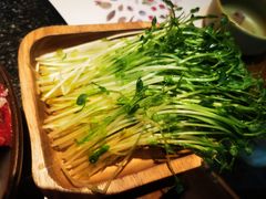 豆苗-盡膳口福跷脚牛肉火锅(北美新天地店)