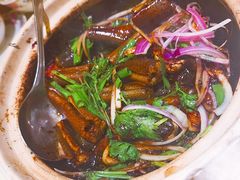 黄鳝啫啫煲-惠食佳(滨江大公馆店)