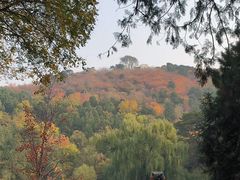 -香山公园