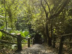 -海口火山口国家地质公园