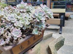 -寂照庵