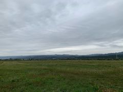 -敕勒川草原