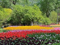 -国家植物园南园