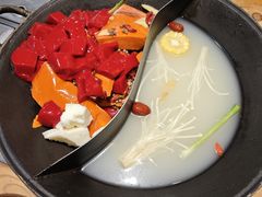 -阳阳老火锅(小南门店)