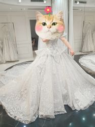 -拉瑞娜LaReine婚纱礼服高级定制