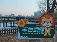 -莲花池公园