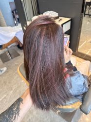 -藤野造型烫发染发