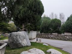 -中国唐苑