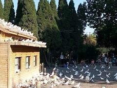 android_upload_pic-济南森林公园