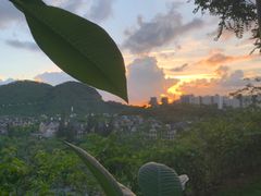 -白石龙音乐公园