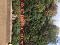 -遂昌金矿国家矿山公园