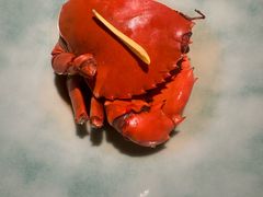 -新荣记(BFC外滩金融中心店)