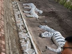 -哈尔滨北方森林动物园