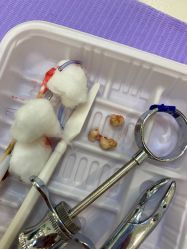 -青苗儿童口腔(长楹天街购物中心)