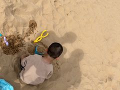 -青枫公园