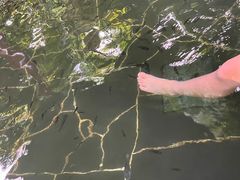 -水底山庄园温泉