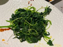 -星·South Beauty·俏江南(国贸店)