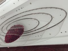 -长沙小天鹅戴斯酒店