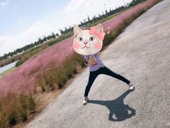 -春花秋色城市公园