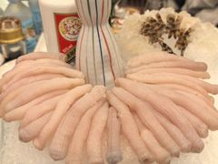 -外沙疍家棚酒楼