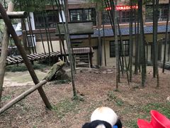 -天目湖山水园