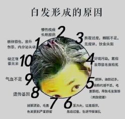 -诗碧曼养发