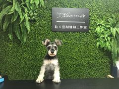 -FAELING PETS美天灵宠物(富力广场店)