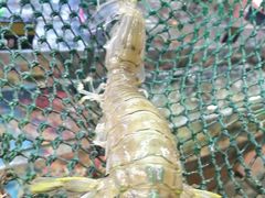 -龙溪海鲜酒家(溪涌店)