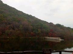 -龙道沟景区