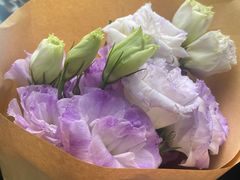 -双季花艺园艺市场(浦东店)