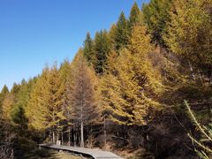 -苏木山森林公园