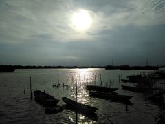 景观位-菠菜美食