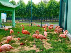 -秦皇岛野生动物园