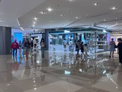 -港汇恒隆广场