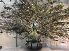 -天津自然博物馆