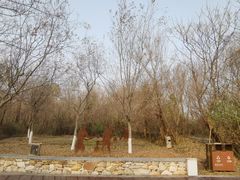 -盘龙城国家考古遗址公园