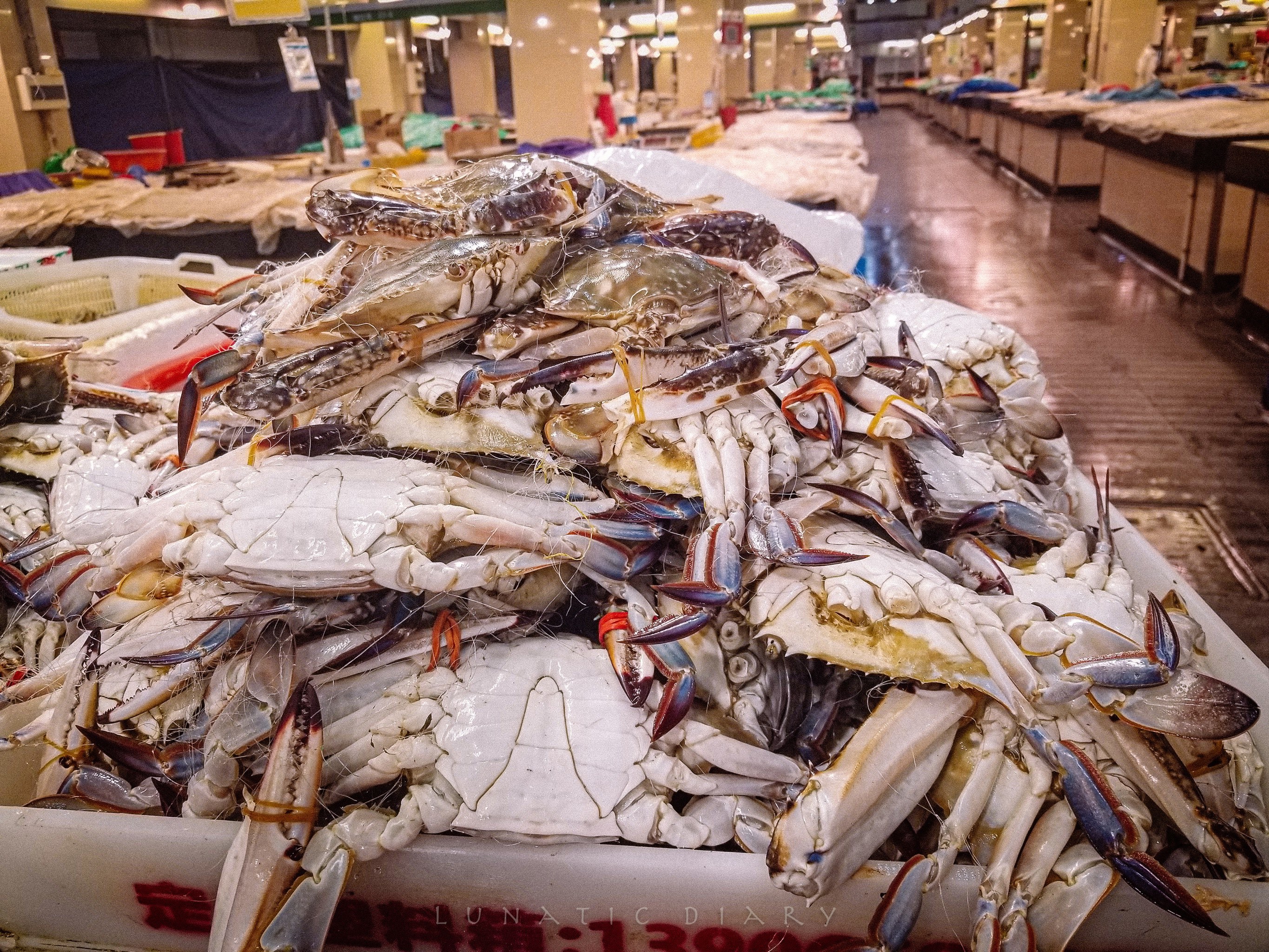 宁波海鲜批发在哪里