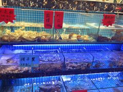 -阿湾楼·温州海鲜·江浙菜(京江路店)