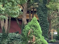 -普陀山风景名胜区-法雨禅寺