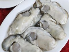 -花苑美食横琴生蚝火锅(拱北粤华路店)