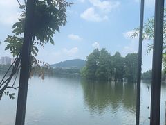 -东湖食堂·湖景餐厅•会议