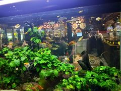 -The Dishes Seafood & Restaurant